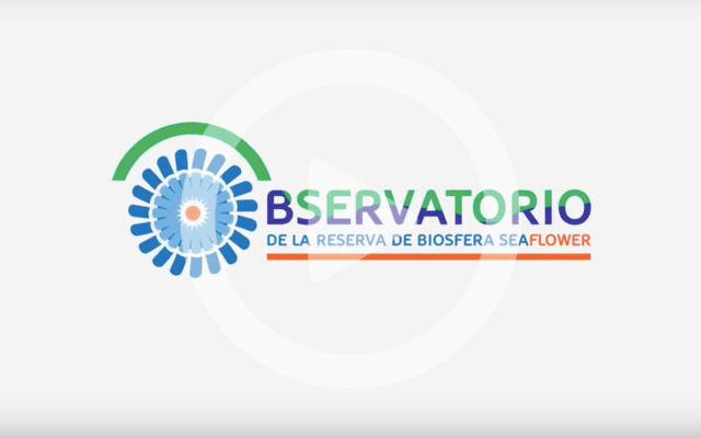que es el observatorio 4
